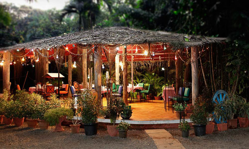 dining4